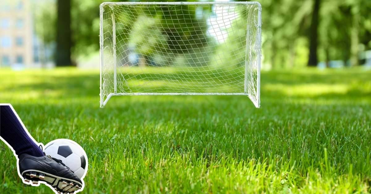 The Most Amazing Soccer Goals For 2024