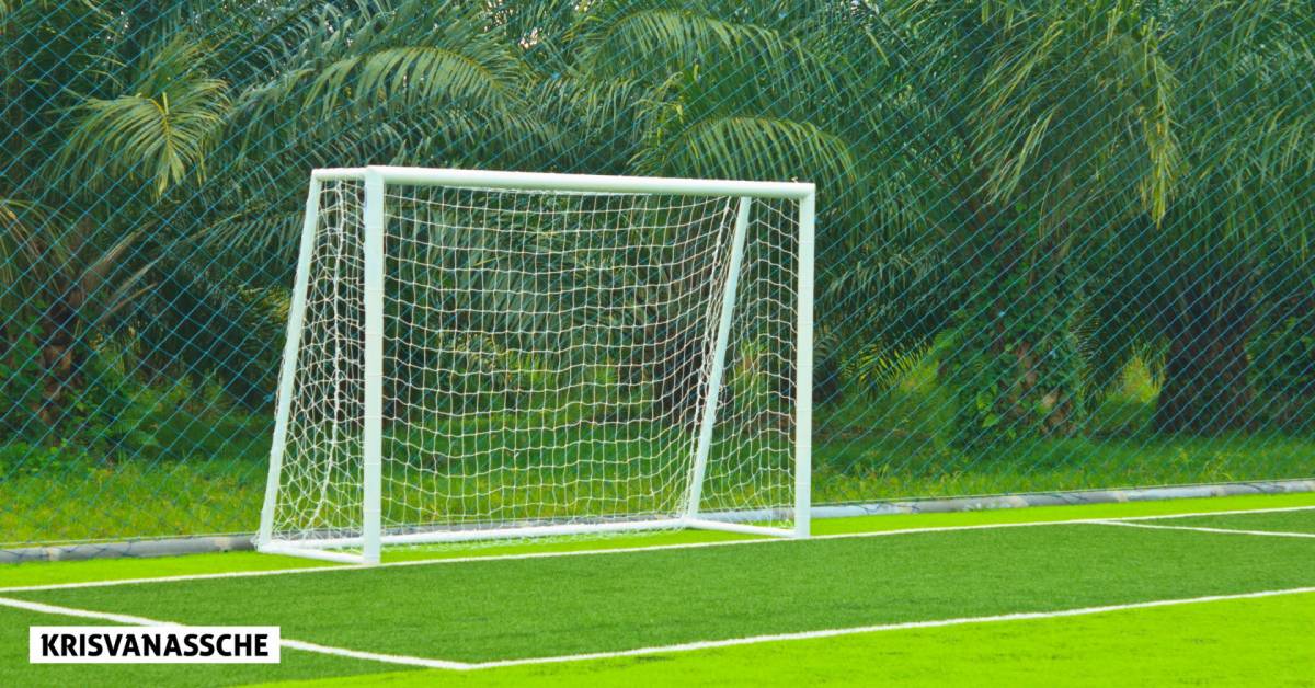 The 10 Best Soccer Nets Of 2024, Researched By Us