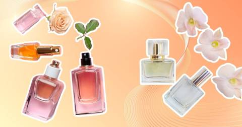 The 10 Best Aerin Perfume Of 2023, Researched By Us