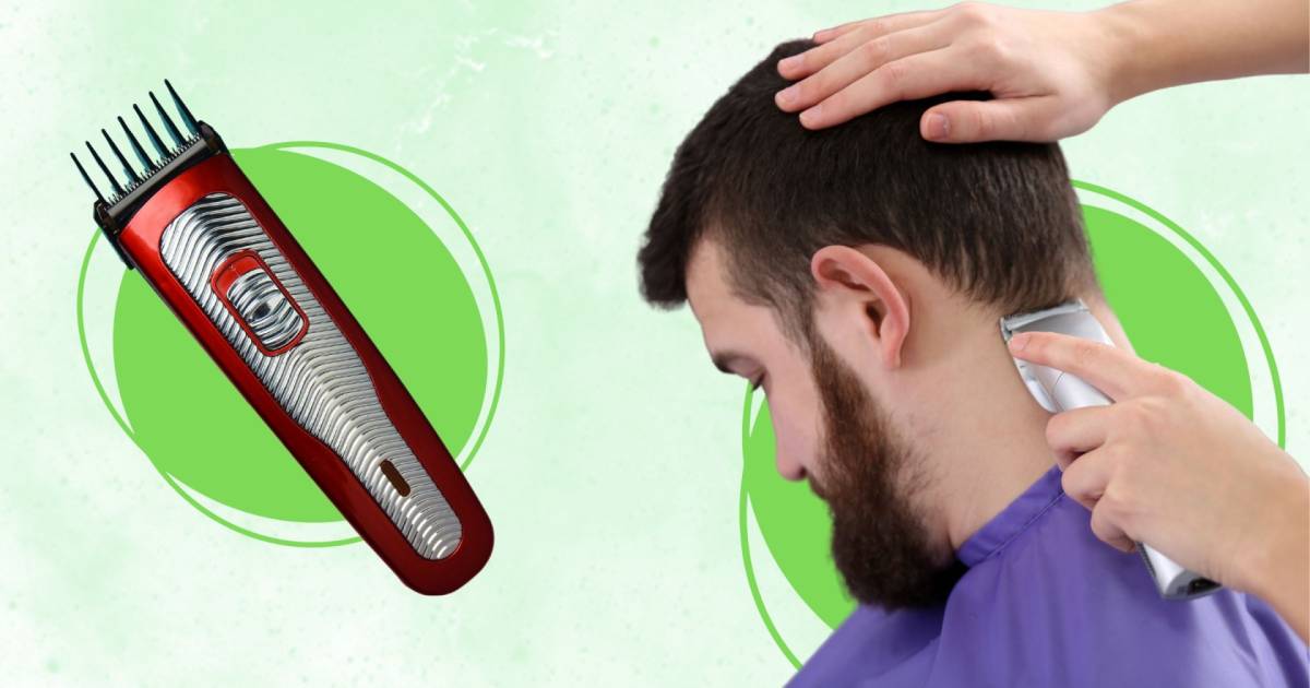 The 10 Best Clipper For Designs Of 2024, Researched By Us