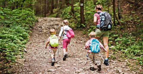 The 7 Best Day Packs For Hiking Of 2024, Researched By Us