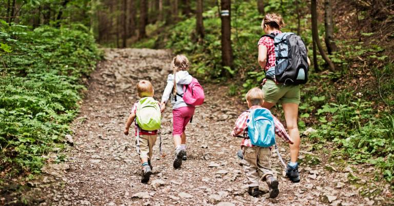 Best Day Packs For Hiking