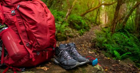The 7 Best Affordable Hiking Shoes For 2024