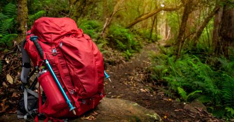 The 10 Best Day Hiking Backpacks For 2024