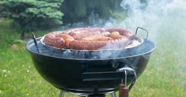 Best Electric Grills For Outdoors